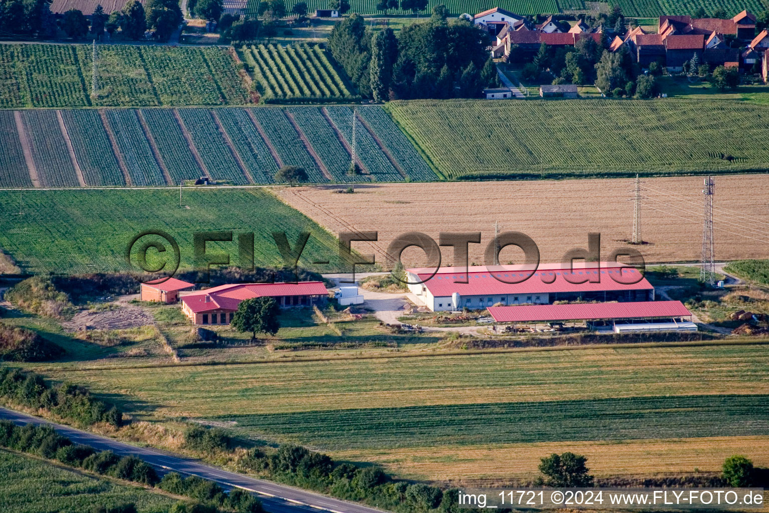 Luftbild von Hühnerhof Eierfarm in Erlenbach bei Kandel im Bundesland Rheinland-Pfalz, Deutschland