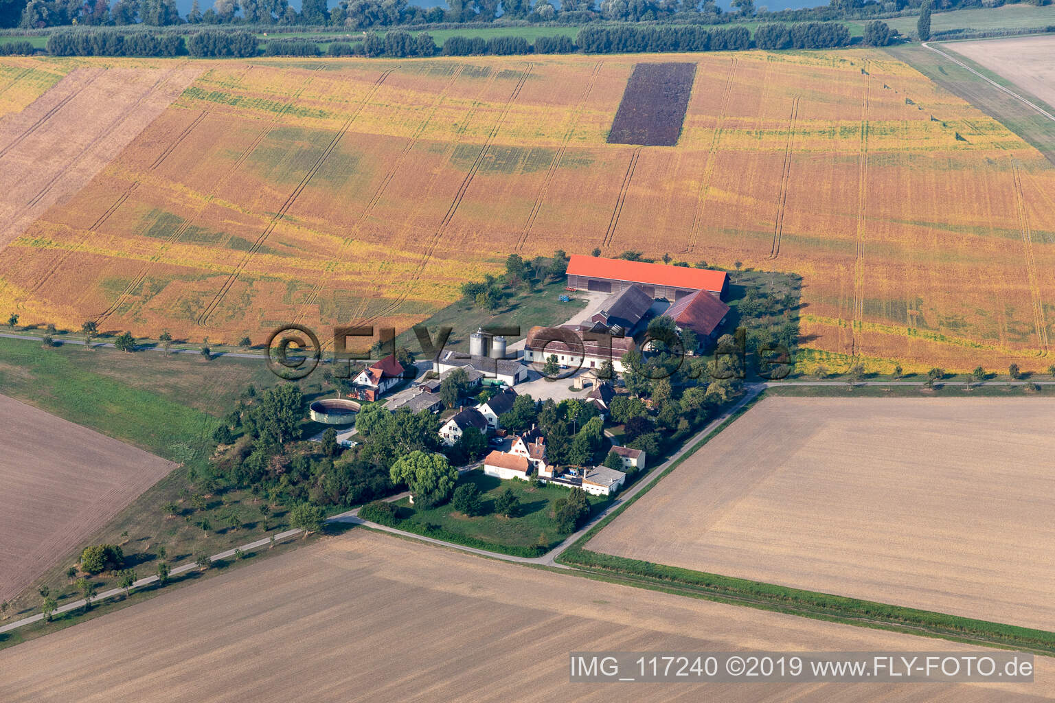 Drohnenbild von Hockenheim im Bundesland Baden-Württemberg, Deutschland