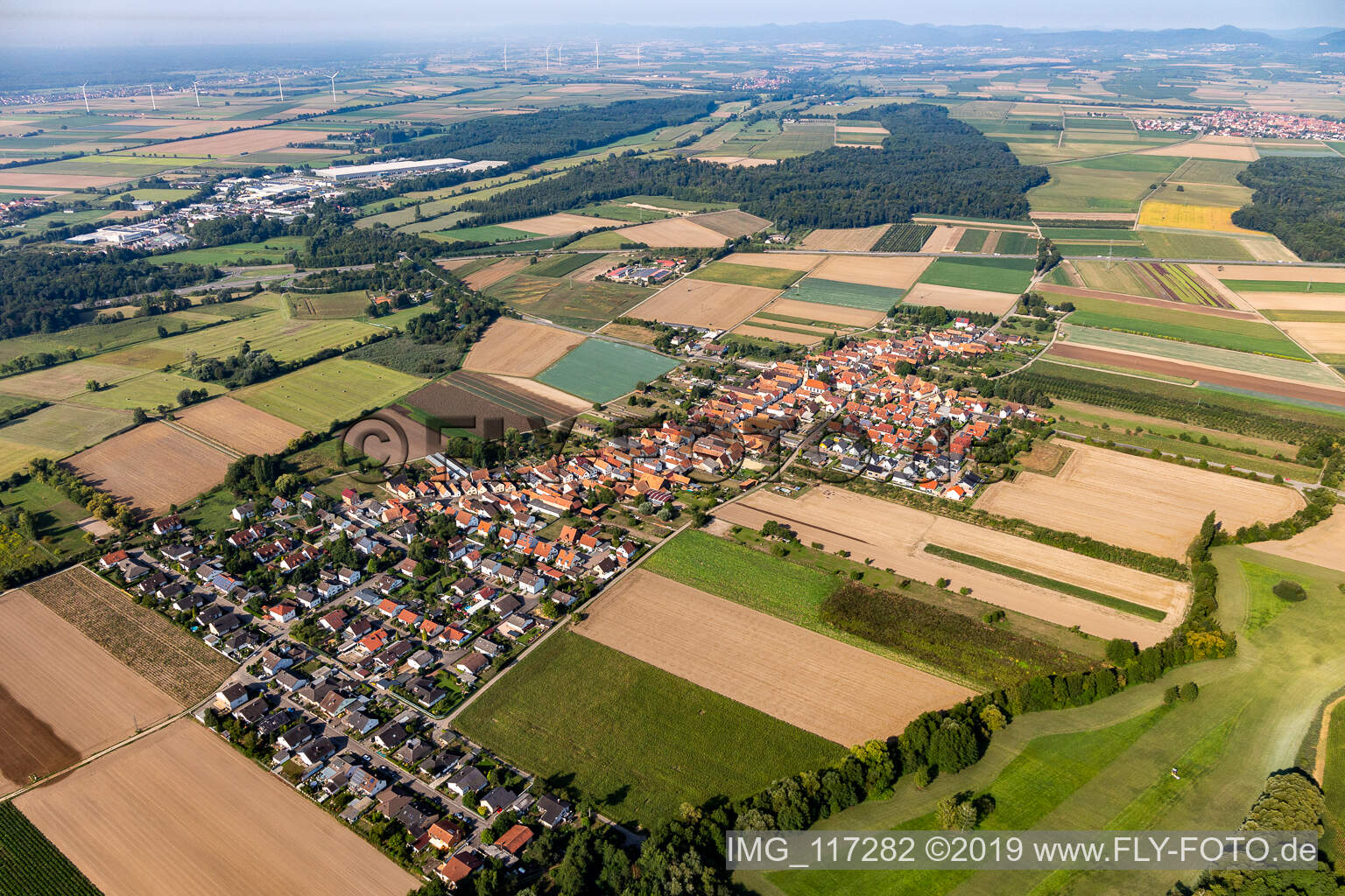Erlenbach bei Kandel im Bundesland Rheinland-Pfalz, Deutschland vom Flugzeug aus