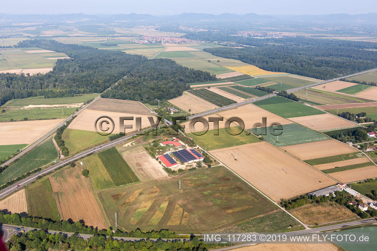 Luftbild von Eierfarm in Erlenbach bei Kandel im Bundesland Rheinland-Pfalz, Deutschland
