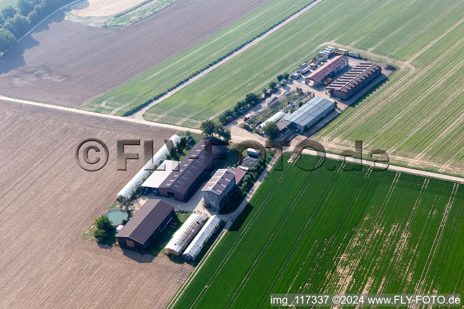 Luftaufnahme von Aussiedlerhof in Kandel im Bundesland Rheinland-Pfalz, Deutschland