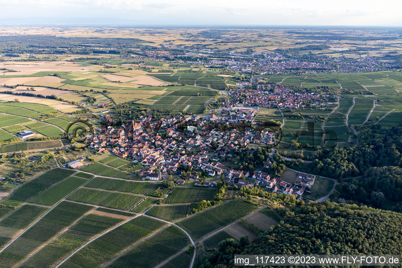 Ortsteil Rechtenbach in Schweigen-Rechtenbach im Bundesland Rheinland-Pfalz, Deutschland aus der Luft