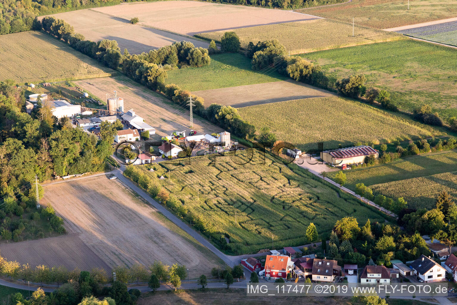 Irrgarten - Labyrinth auf einem Mais-Feld des Seehof in Steinweiler im Bundesland Rheinland-Pfalz, Deutschland von oben