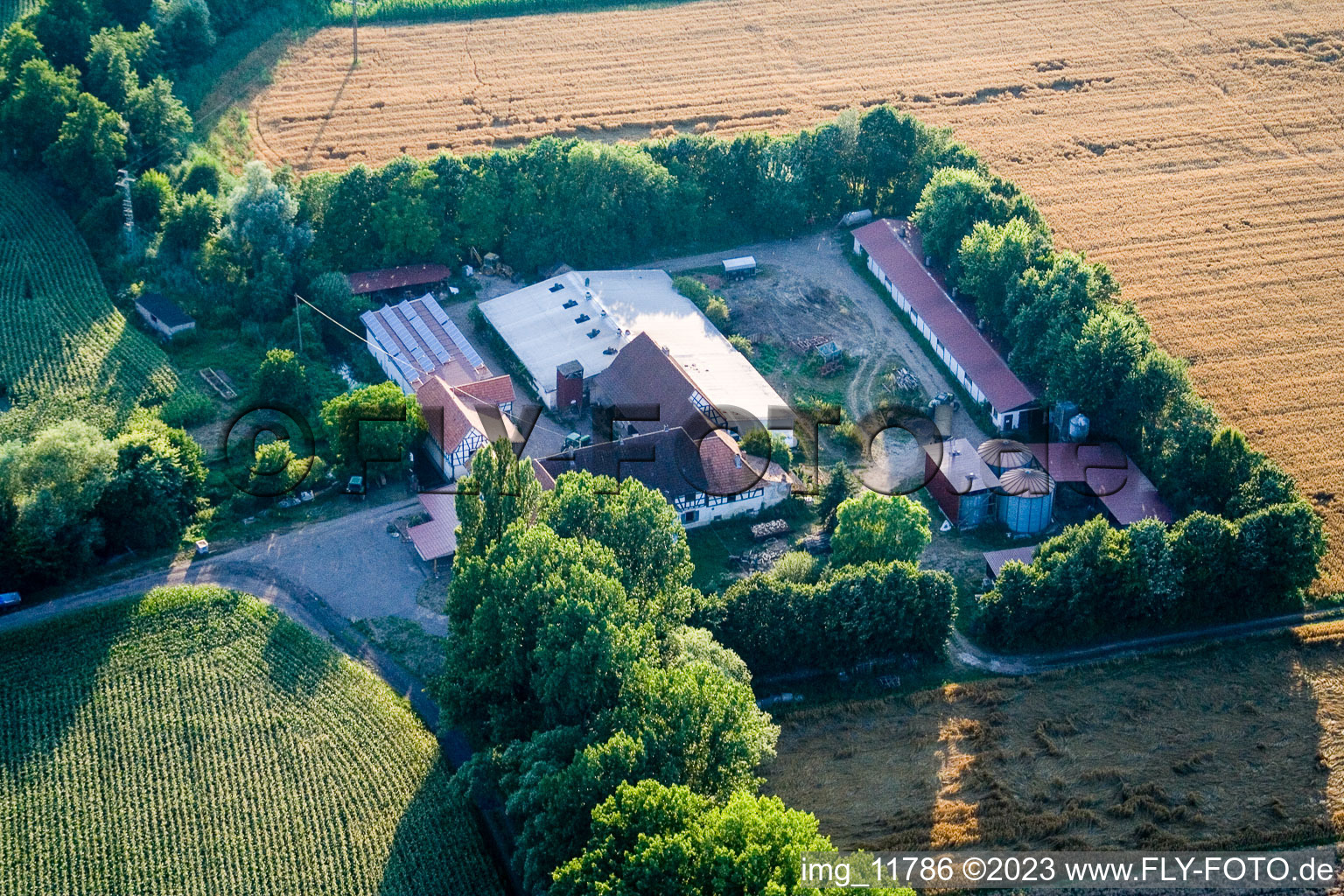 Luftbild von Am Erlenbach, Leistenmühle in Kandel im Bundesland Rheinland-Pfalz, Deutschland