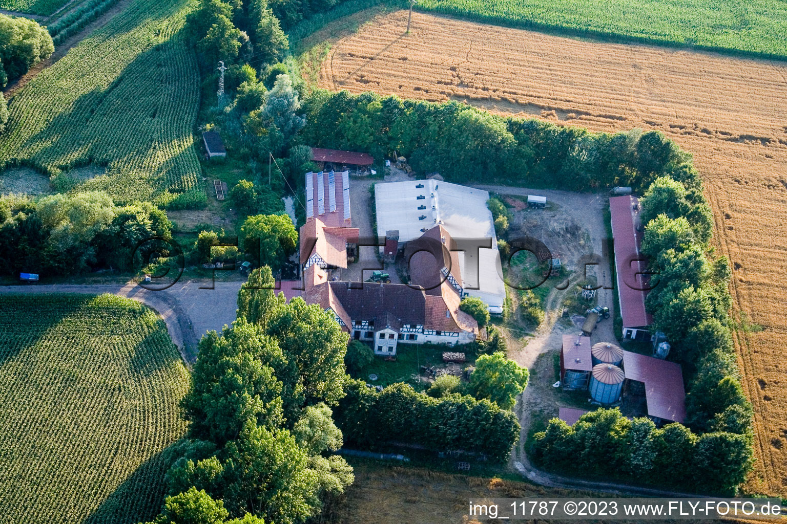 Luftaufnahme von Am Erlenbach, Leistenmühle in Kandel im Bundesland Rheinland-Pfalz, Deutschland