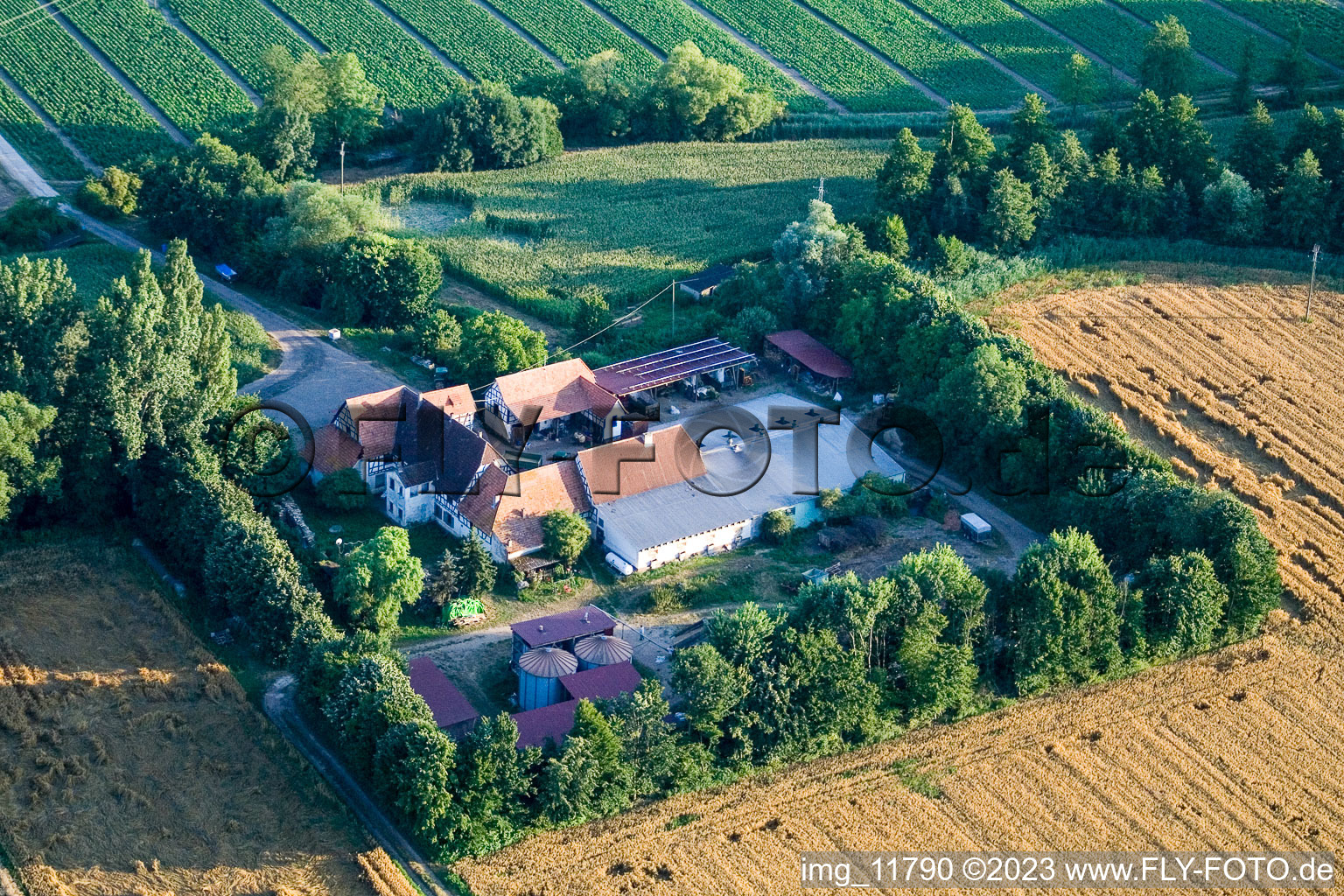 Am Erlenbach, Leistenmühle in Kandel im Bundesland Rheinland-Pfalz, Deutschland von oben