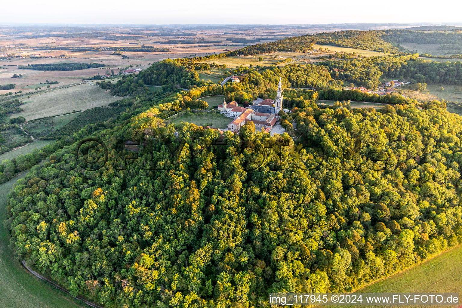 Basilique de Sion in Saxon-Sion im Bundesland Meurthe-et-Moselle, Frankreich aus der Luft