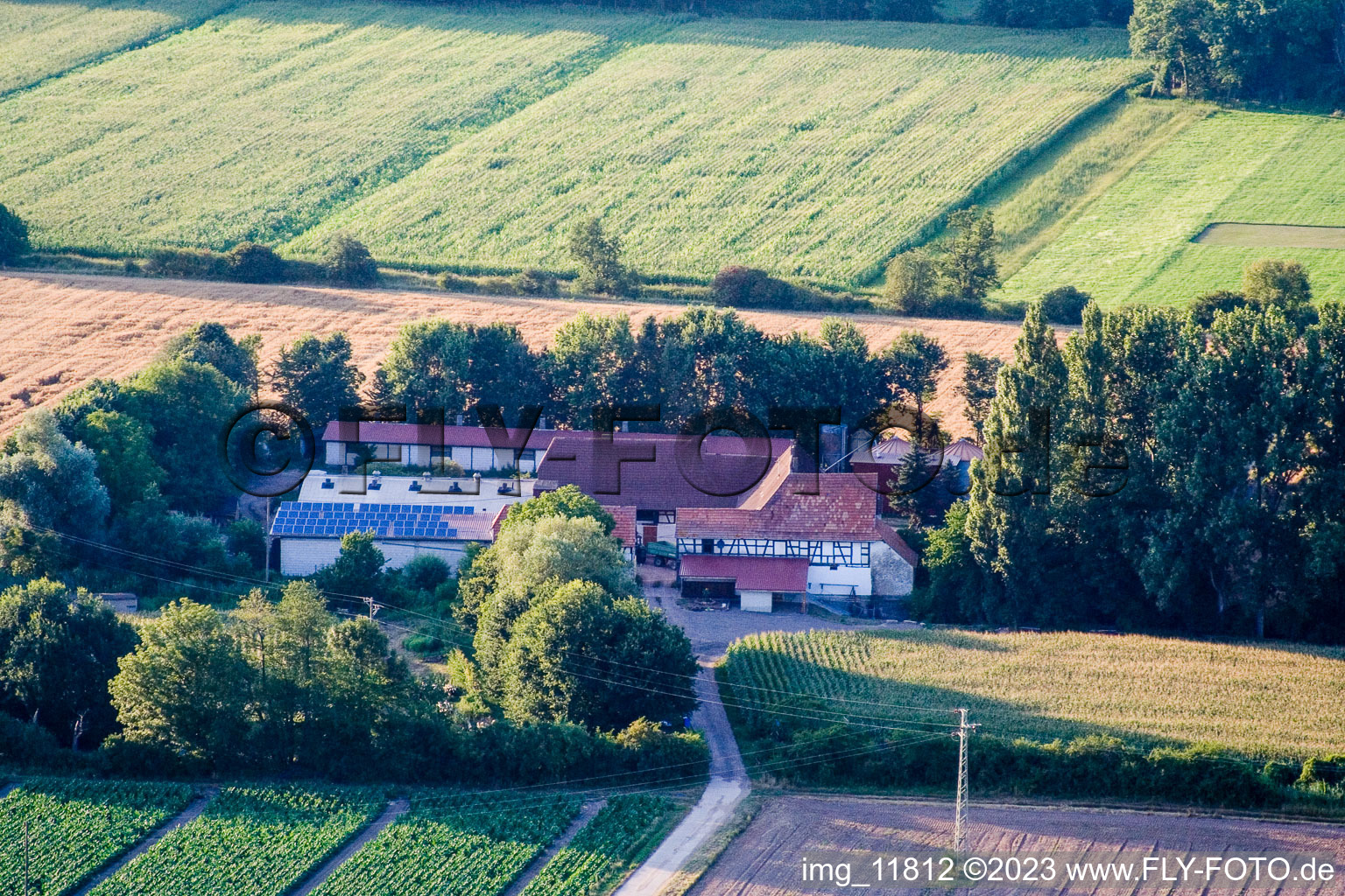 Luftbild von Kandel, am Erlenbach, Leistenmühle im Bundesland Rheinland-Pfalz, Deutschland