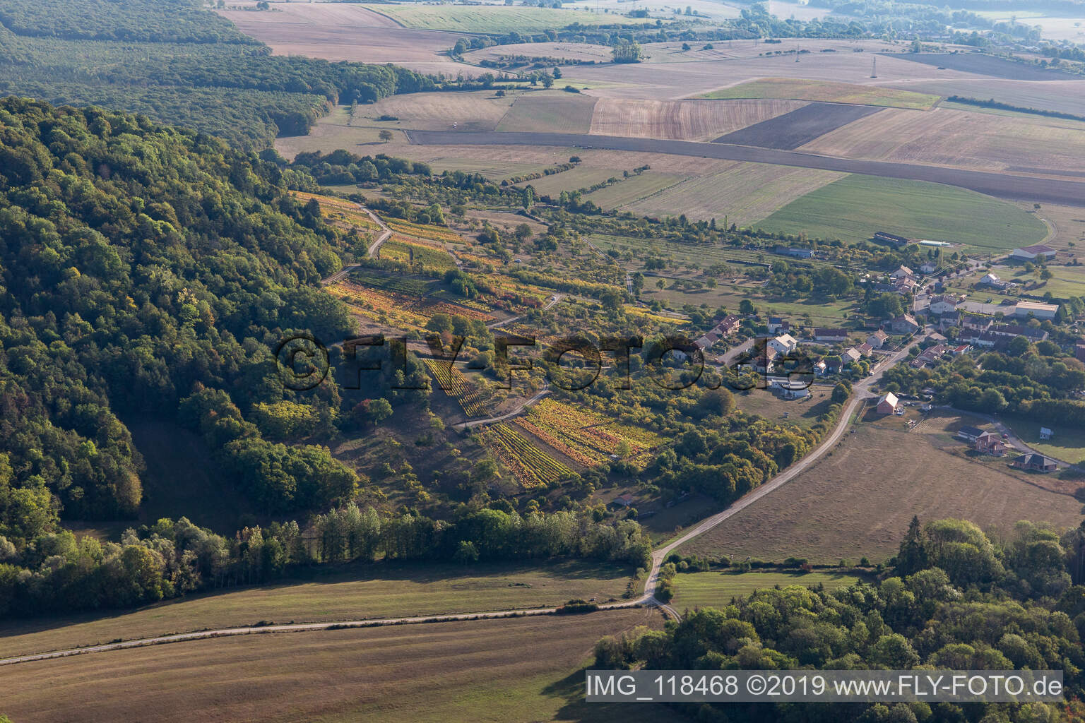 Weinberge in La Neuveville-sous-Montfort im Bundesland Vosges, Frankreich