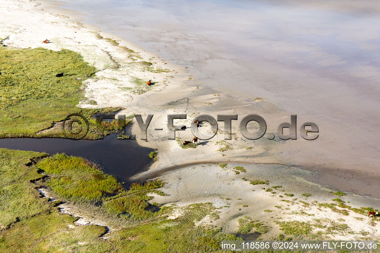 Sandstrand- Landschaft entlang des Küsten- Verlaufes an der Nordsee in Fanö in Region Syddanmark in Fanø, Dänemark