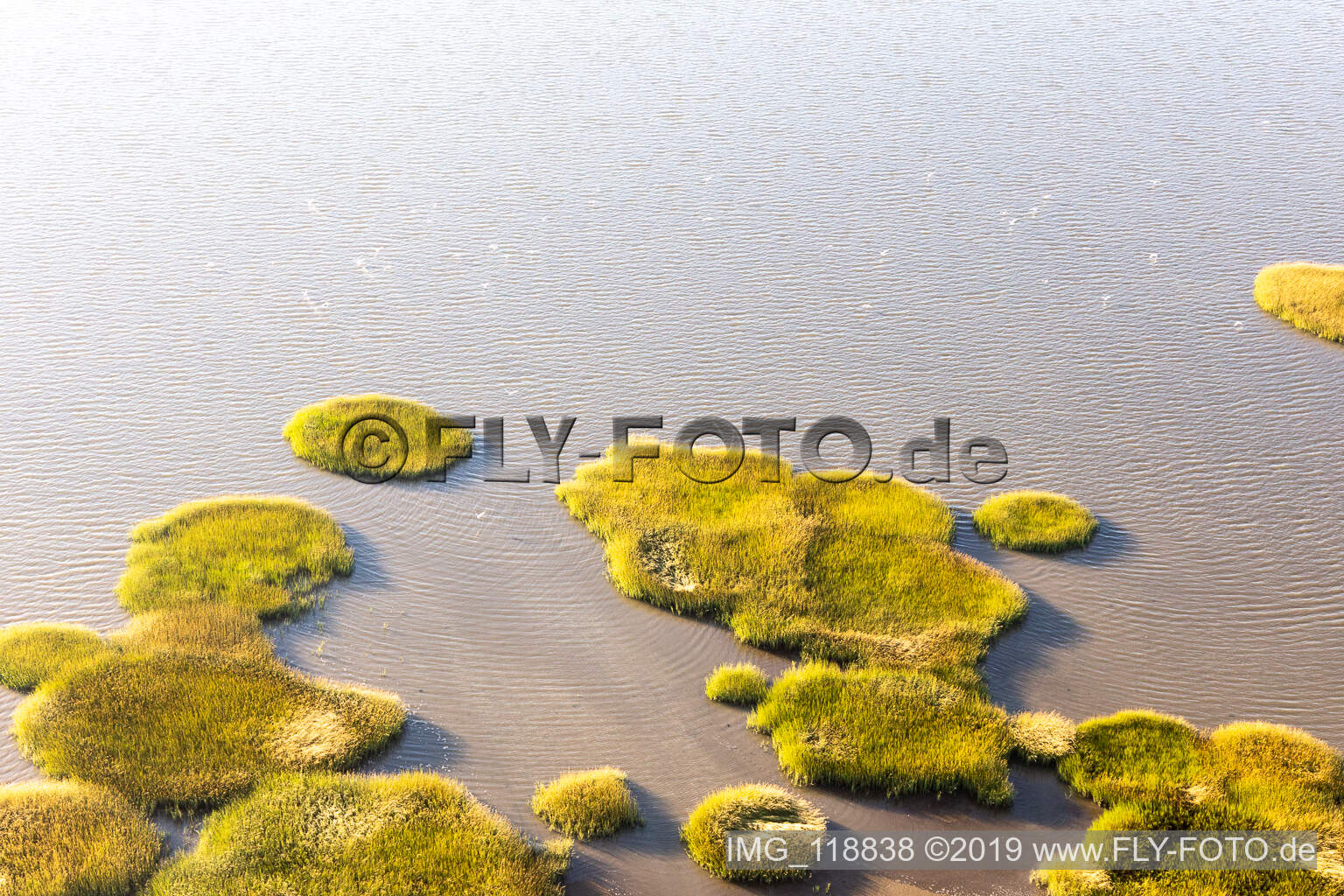 Luftaufnahme von Nationalpark Wattenmeer in Fanø im Bundesland Syddanmark, Dänemark