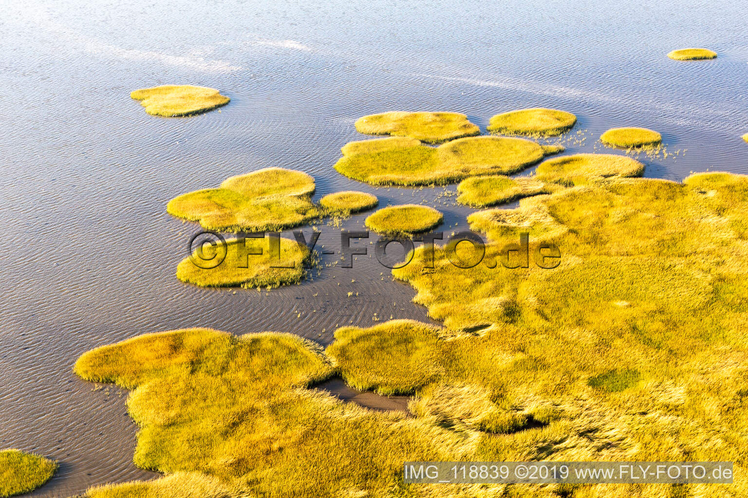 Schrägluftbild von Nationalpark Wattenmeer in Fanø im Bundesland Syddanmark, Dänemark