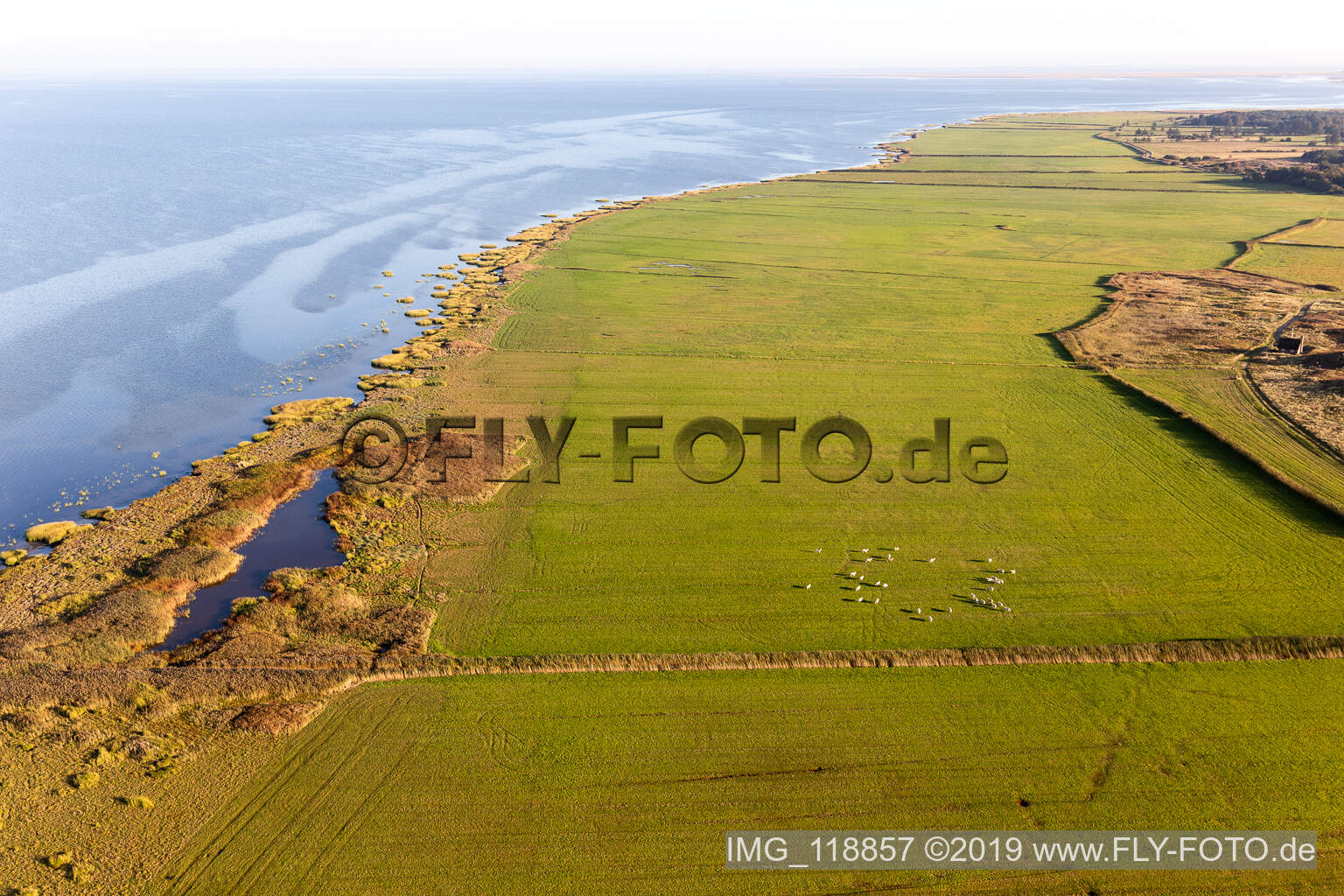 Nationalpark Wattenmeer in Fanø im Bundesland Syddanmark, Dänemark vom Flugzeug aus