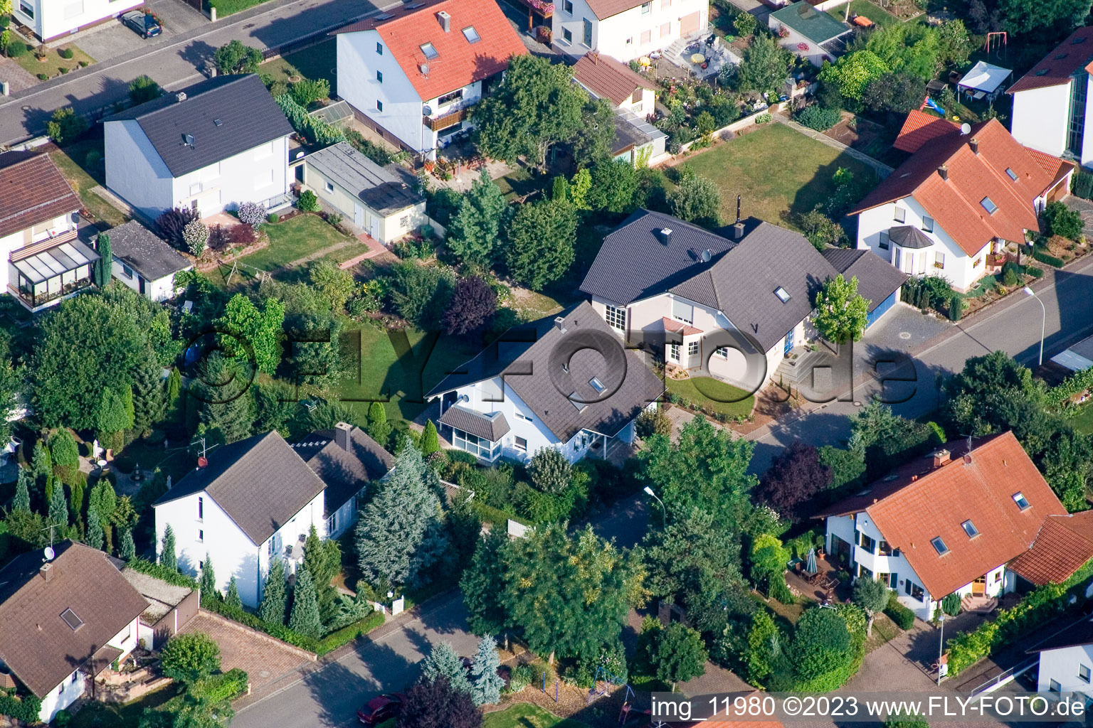 Steinweiler im Bundesland Rheinland-Pfalz, Deutschland aus der Drohnenperspektive