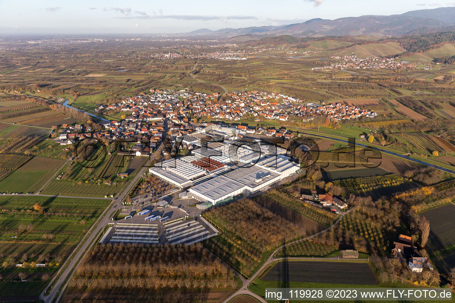 Luftbild von Firmengelände der Progress-Werk Oberkirch AG mit Hallen, Firmengebäuden und Produktionsstätten in Stadelhofen im Bundesland Baden-Württemberg, Deutschland