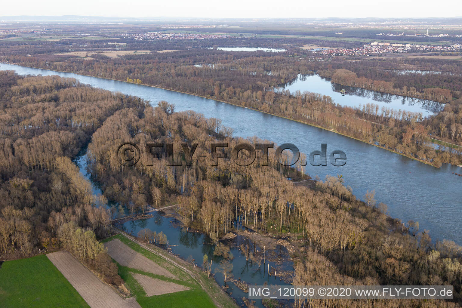 Luftbild von Hochwasser in den Rheinauen in Neupotz im Bundesland Rheinland-Pfalz, Deutschland