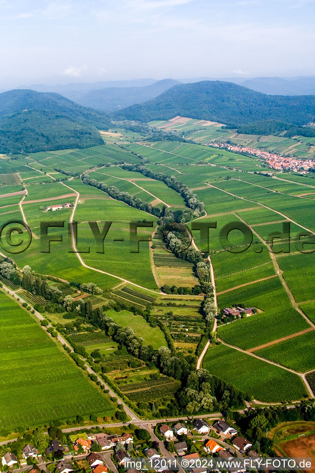 Felder einer Weinbergs- Landschaft der Winzer- Gebiete in Ilbesheim bei Landau in der Pfalz im Bundesland Rheinland-Pfalz, Deutschland