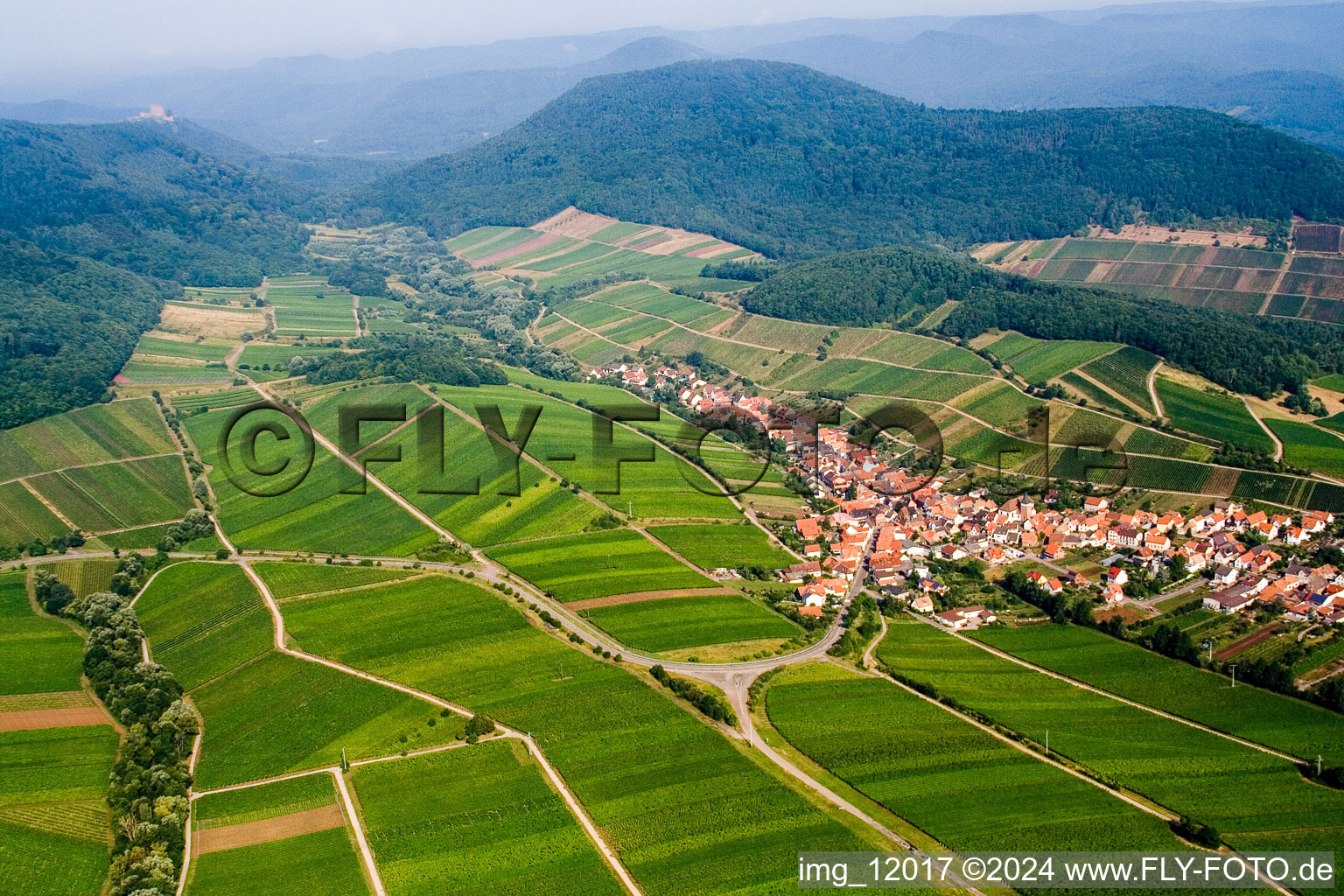 Felder einer Weinbergs- Landschaft der Winzer- Gebiete in Ranschbach in der Pfalz im Bundesland Rheinland-Pfalz, Deutschland