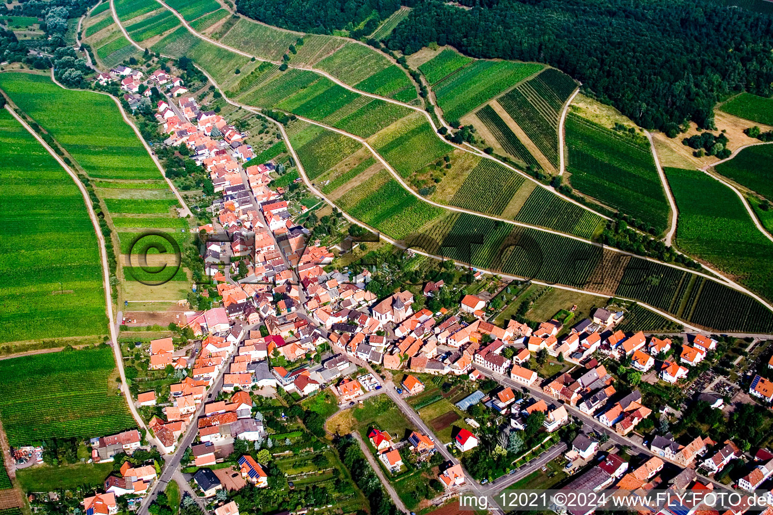 Luftaufnahme von Ranschbach im Bundesland Rheinland-Pfalz, Deutschland