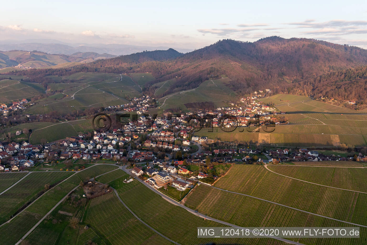 Luftbild von Dorf - Ansicht am Rande von Weinbergen und Winzer- Gütern in Fessenbach im Ortsteil Zell in Offenburg im Bundesland Baden-Württemberg, Deutschland