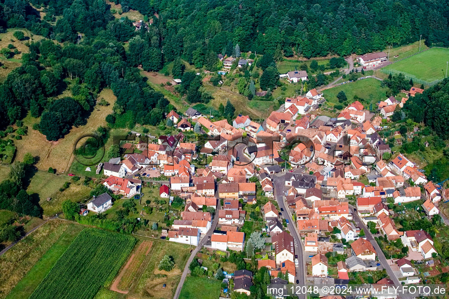 Dorf - Ansicht am Rande von landwirtschaftlichen Feldern und Nutzflächen im Ortsteil Gräfenhausen in Annweiler am Trifels im Bundesland Rheinland-Pfalz, Deutschland