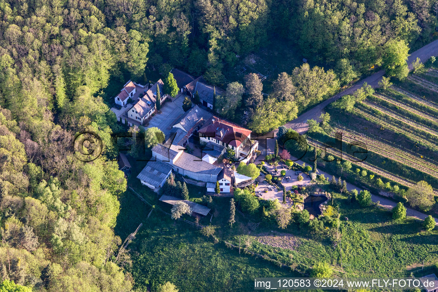 Gebäude und Gutshaus des Weingut Sankt Annaberg in Burrweiler im Bundesland Rheinland-Pfalz, Deutschland