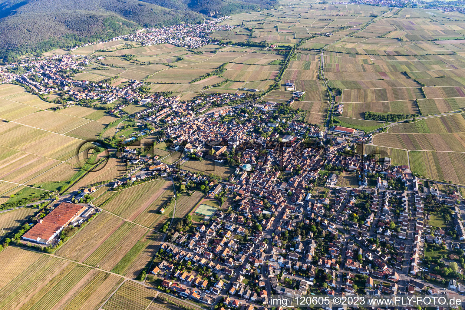 Ortsteil Mußbach in Neustadt an der Weinstraße im Bundesland Rheinland-Pfalz, Deutschland aus der Luft