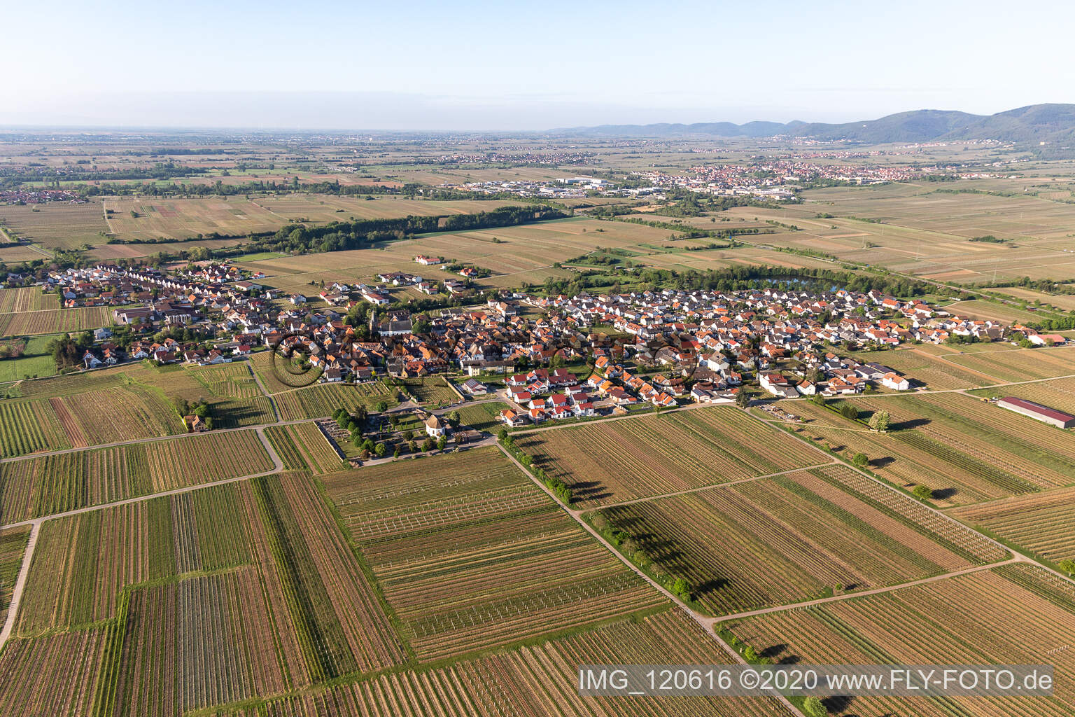 Kirrweiler im Bundesland Rheinland-Pfalz, Deutschland aus der Luft betrachtet