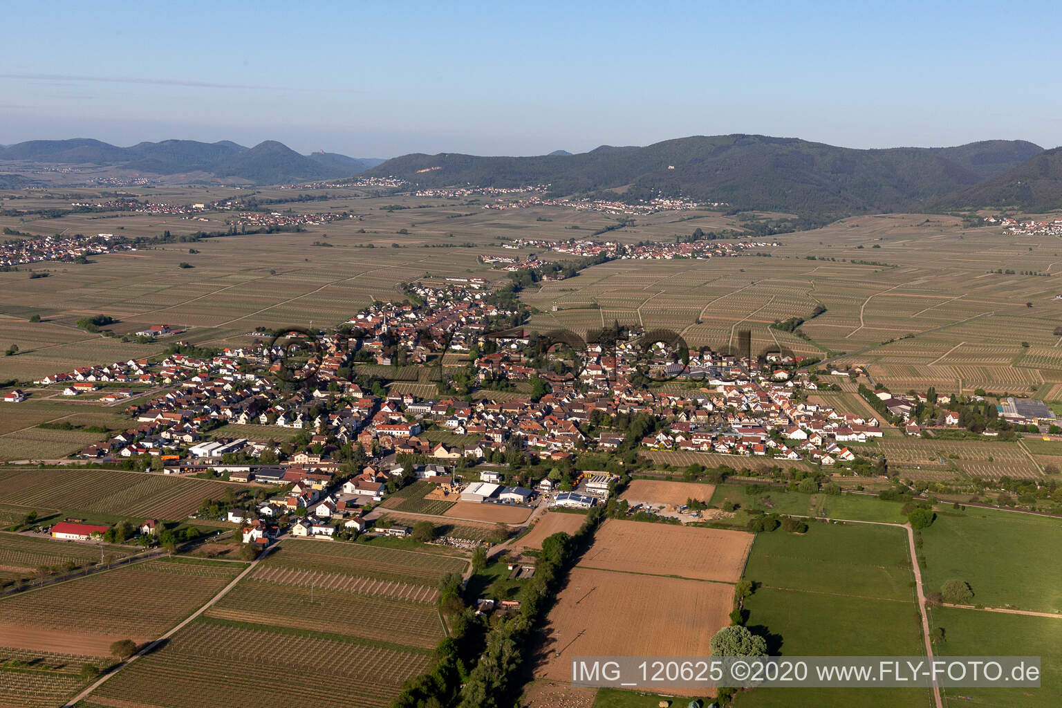 Luftbild von Ortsansicht der Straßen und Häuser der Wohngebiete in Edesheim im Bundesland Rheinland-Pfalz, Deutschland
