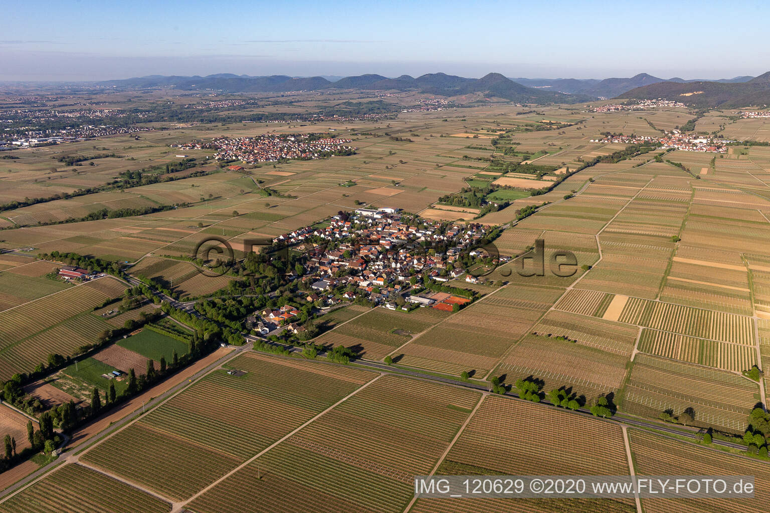 Walsheim im Bundesland Rheinland-Pfalz, Deutschland von der Drohne aus gesehen