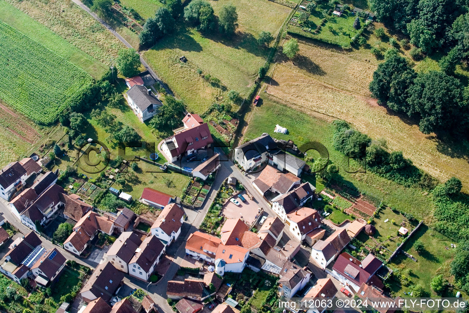 Luftaufnahme von Ortsteil Gräfenhausen in Annweiler am Trifels im Bundesland Rheinland-Pfalz, Deutschland