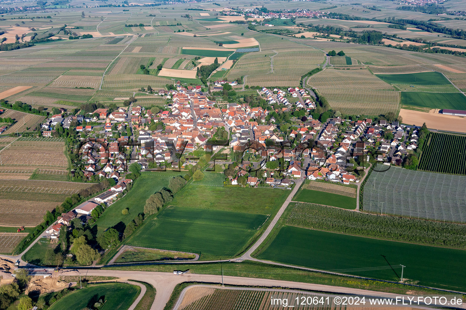 Luftaufnahme von Dorf - Ansicht am Rande von landwirtschaftlichen Feldern und Nutzflächen in Impflingen im Bundesland Rheinland-Pfalz, Deutschland