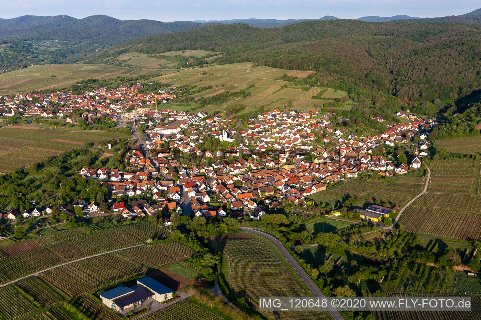 Luftaufnahme von Dorf - Ansicht am Rande von Weinbergen und Wald in Rechtenbach in Schweigen-Rechtenbach im Bundesland Rheinland-Pfalz, Deutschland