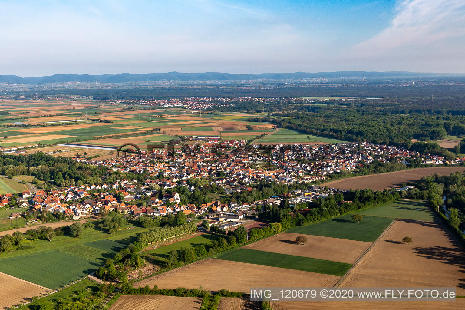 Dorf - Ansicht am Rande von landwirtschaftlichen Feldern und Nutzflächen in Hördt im Bundesland Rheinland-Pfalz, Deutschland