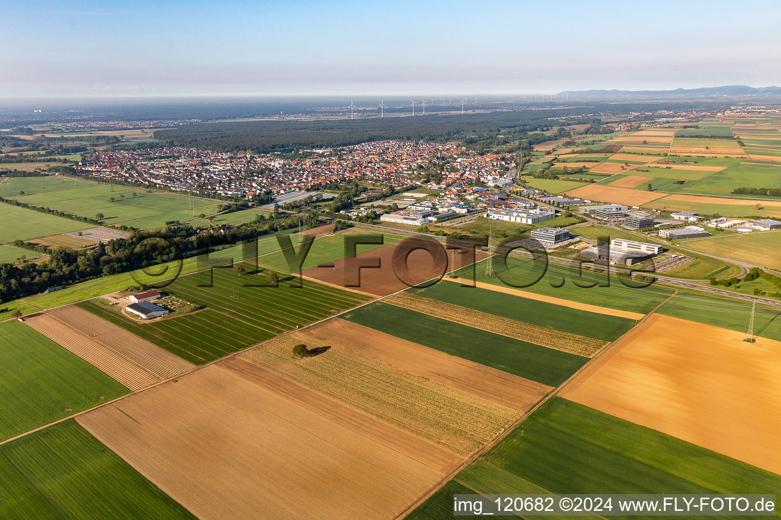 Rülzheim im Bundesland Rheinland-Pfalz, Deutschland aus der Vogelperspektive