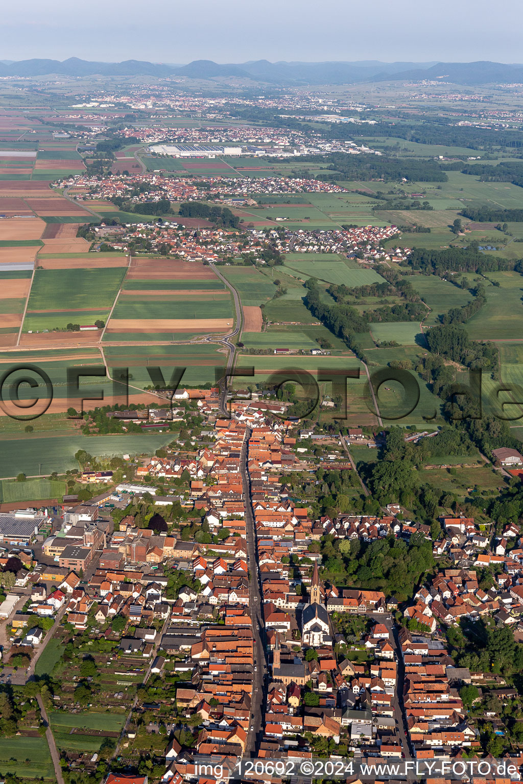 Luftbild von Ortsansicht der Straßen und Häuser der Wohngebiete in Bellheim im Bundesland Rheinland-Pfalz, Deutschland