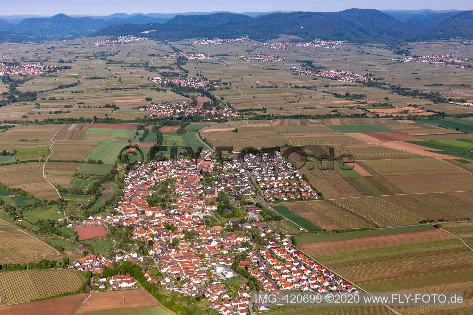 Luftbild von Dorf - Ansicht am Rande von landwirtschaftlichen Feldern und Nutzflächen in Essingen im Bundesland Rheinland-Pfalz, Deutschland