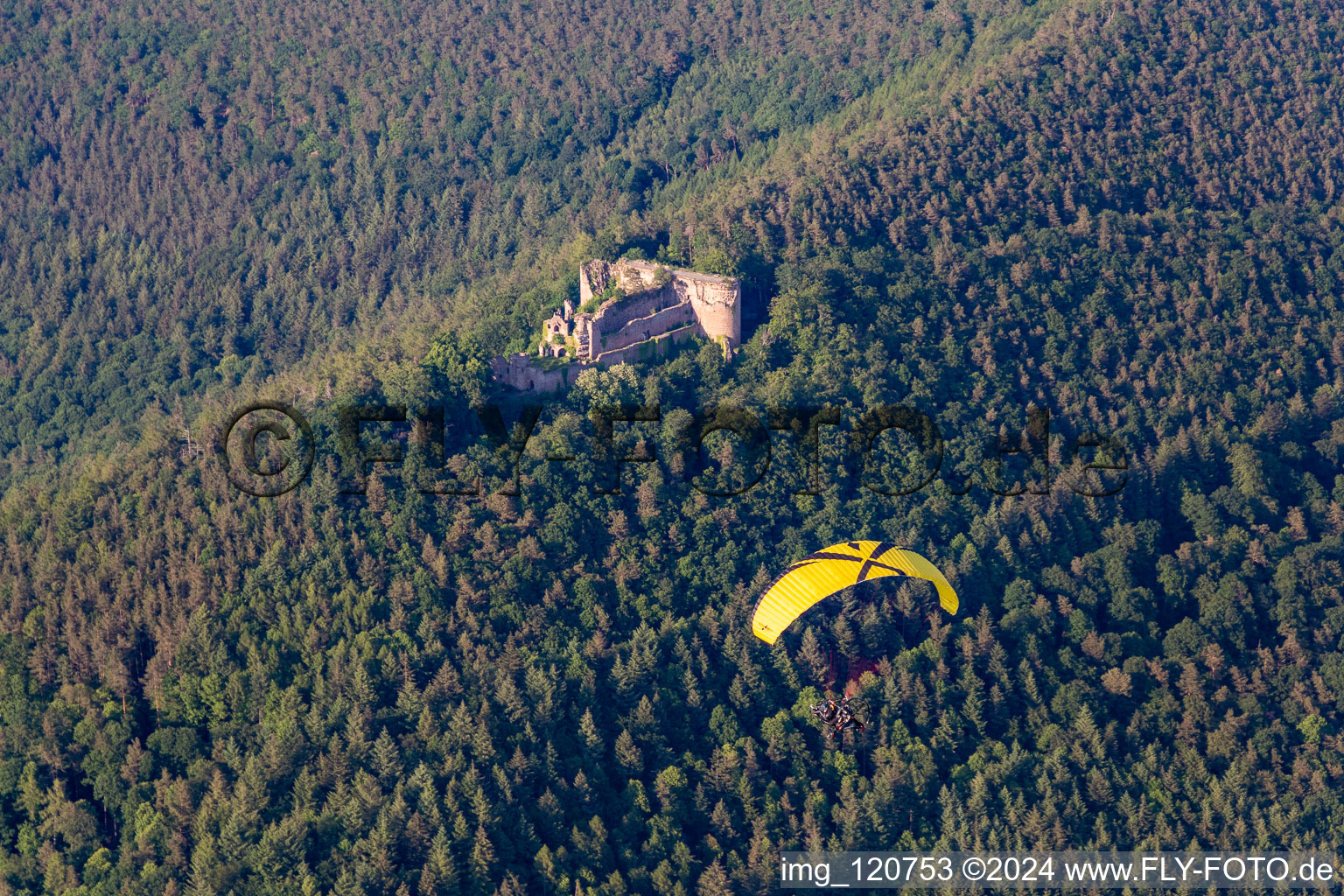 Burgruine Neuscharfeneck in Flemlingen im Bundesland Rheinland-Pfalz, Deutschland aus der Luft