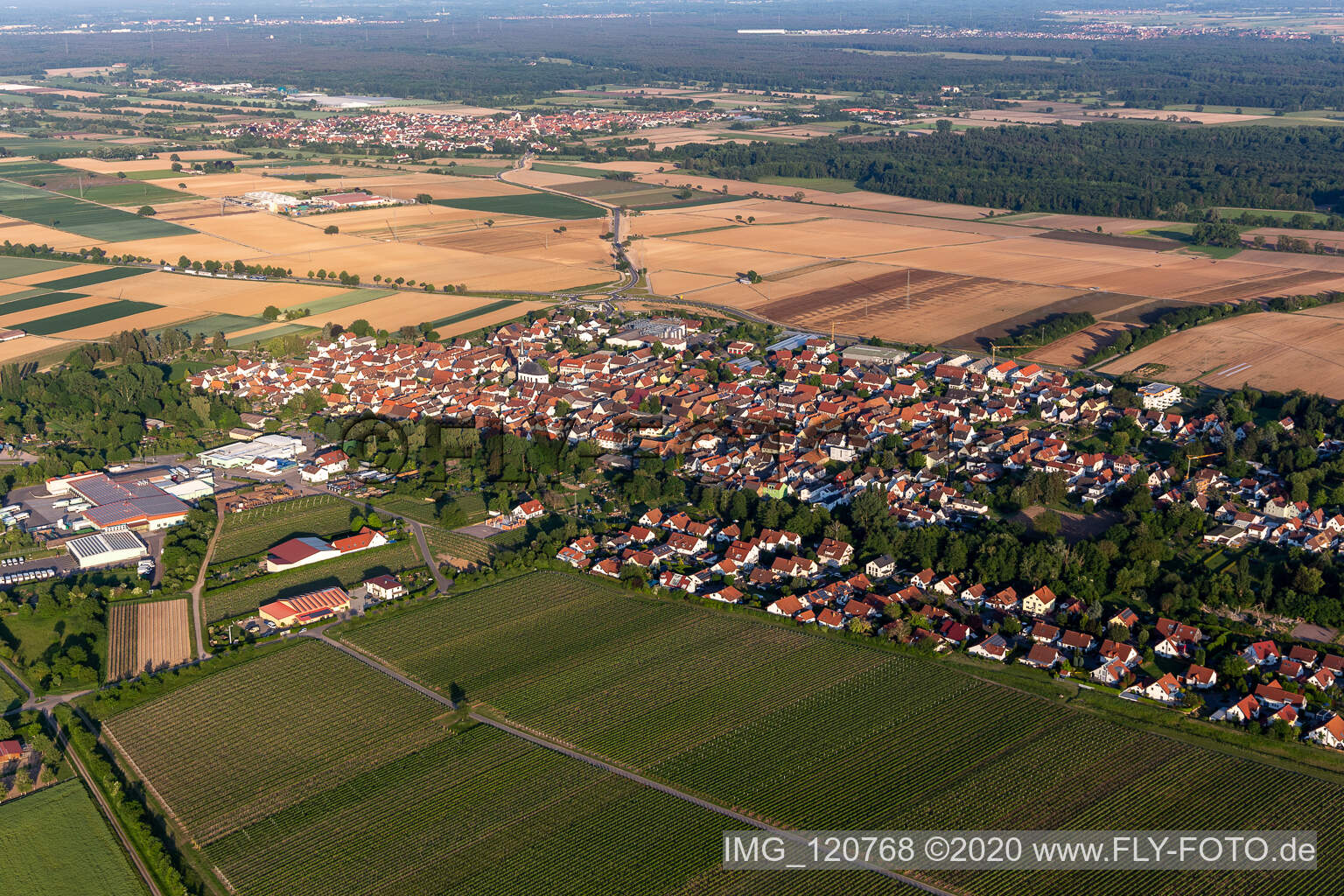 Ortsansicht am Rande von landwirtschaftlichen Feldern und Nutzflächen in Niederhochstadt in Hochstadt im Bundesland Rheinland-Pfalz, Deutschland