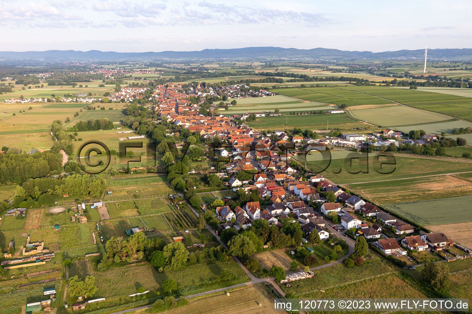 Luftbild von Dorf - Ansicht am Rande von landwirtschaftlichen Feldern und Nutzflächen in Freckenfeld im Bundesland Rheinland-Pfalz, Deutschland