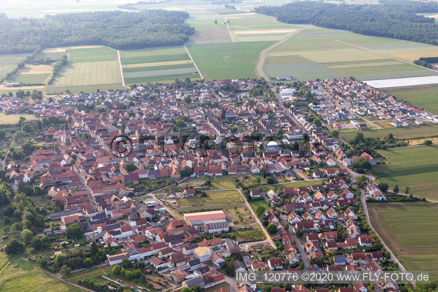 Steinweiler im Bundesland Rheinland-Pfalz, Deutschland vom Flugzeug aus