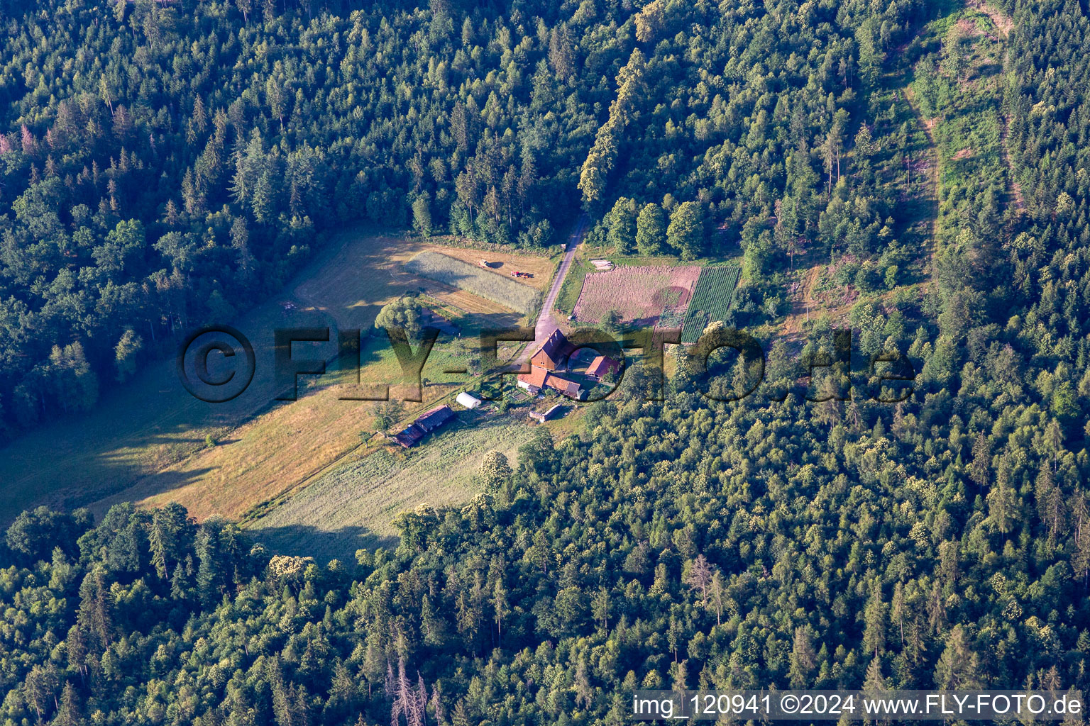 Wingen im Bundesland Bas-Rhin, Frankreich aus der Luft