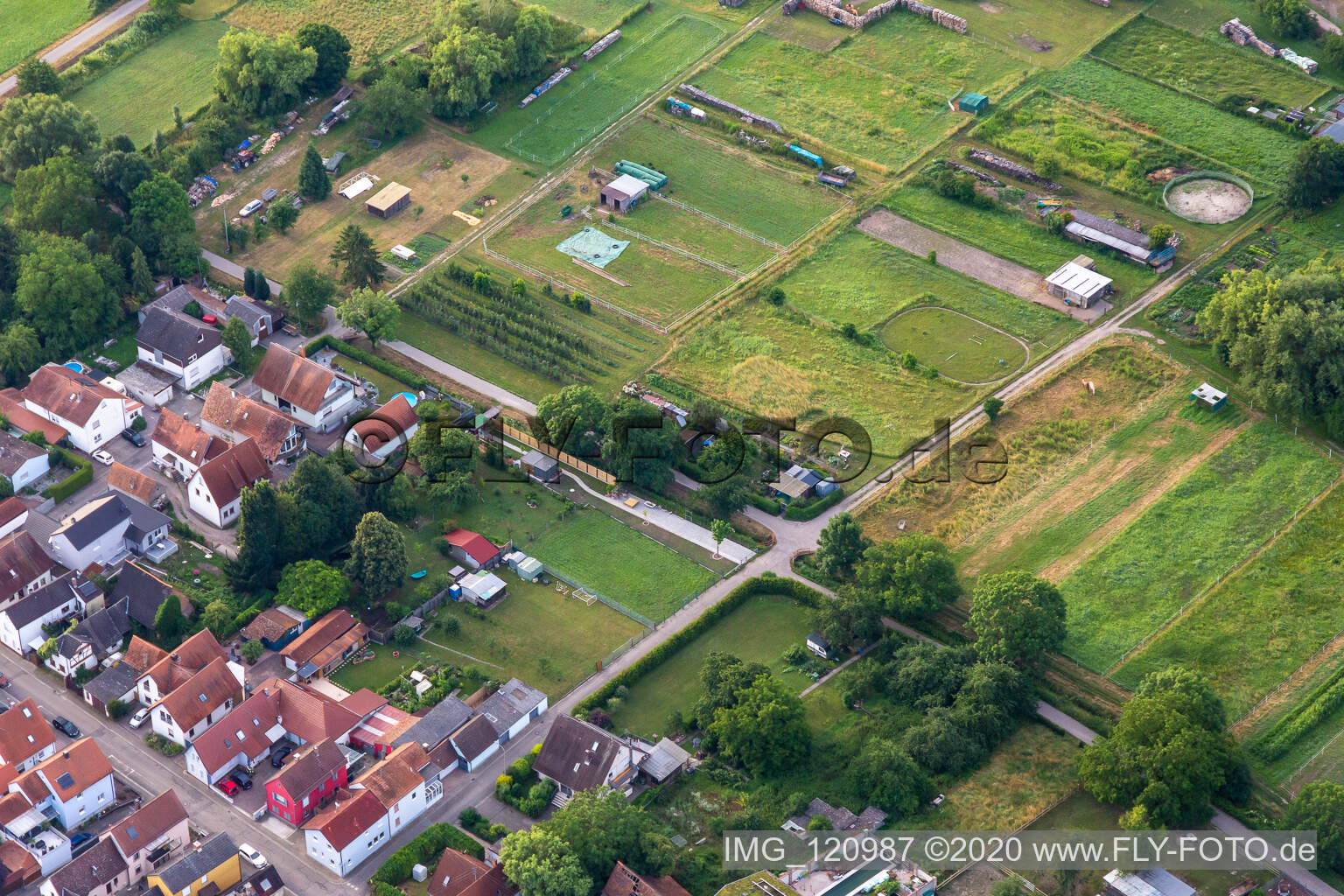 Luftbild von Gärten am Dorfbach im Gänsried in Freckenfeld im Bundesland Rheinland-Pfalz, Deutschland