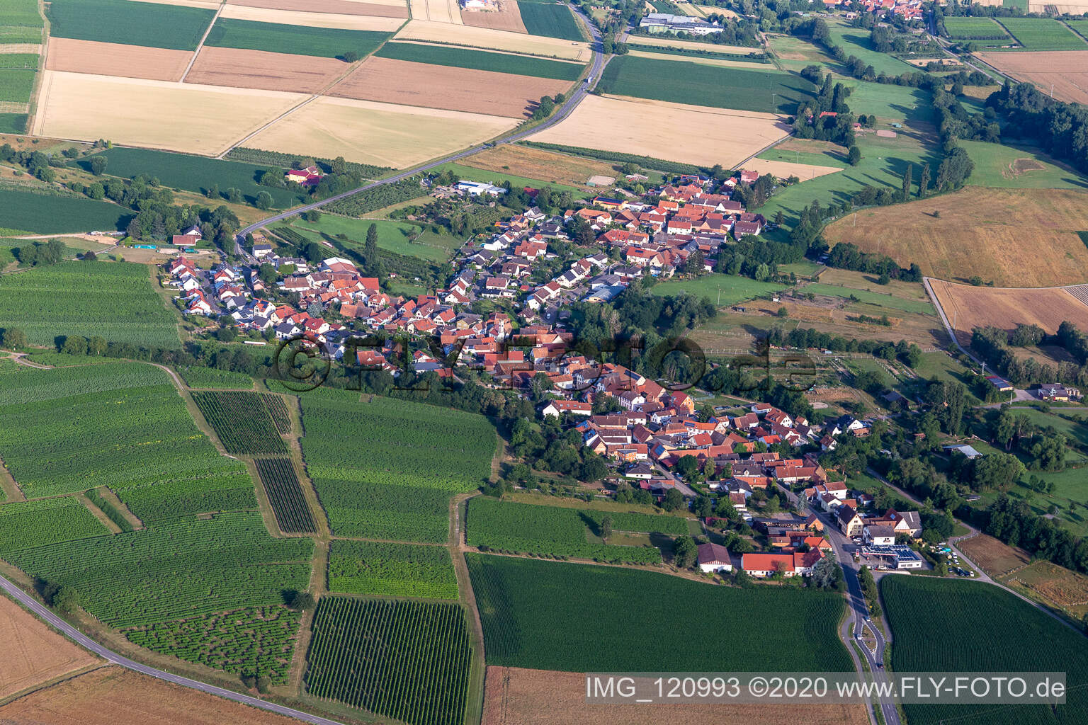 Dierbach im Bundesland Rheinland-Pfalz, Deutschland aus der Luft