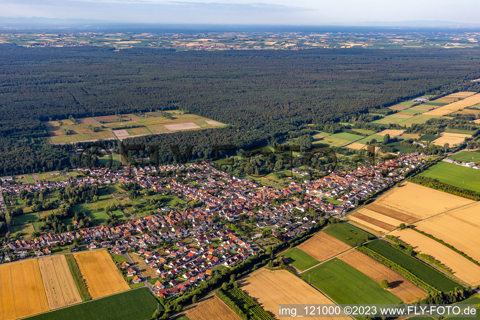 Ortsansicht am Rande von landwirtschaftlichen Feldern und Nutzflächen in Schaidt in Wörth am Rhein im Bundesland Rheinland-Pfalz, Deutschland