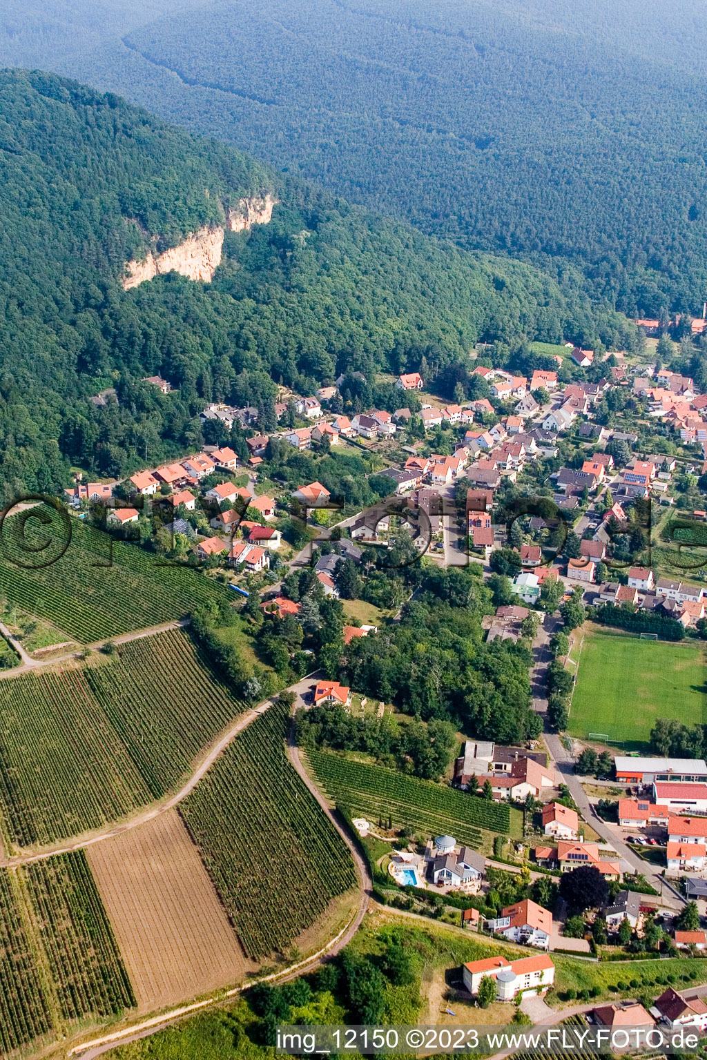 Frankweiler im Bundesland Rheinland-Pfalz, Deutschland aus der Luft