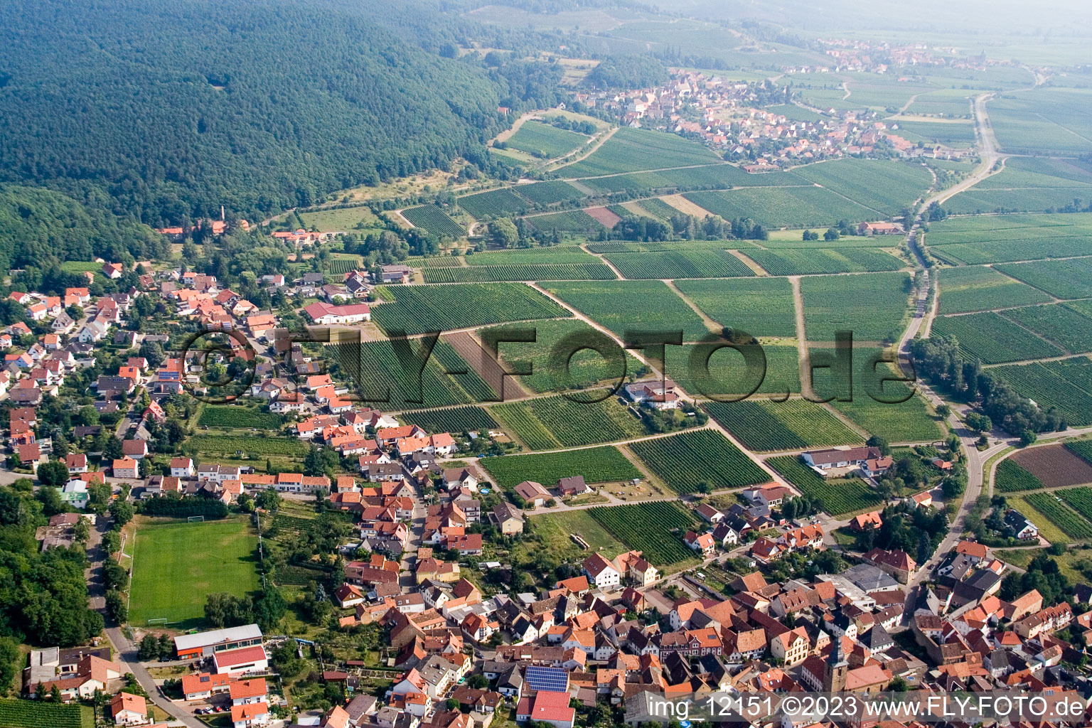 Frankweiler im Bundesland Rheinland-Pfalz, Deutschland von oben gesehen