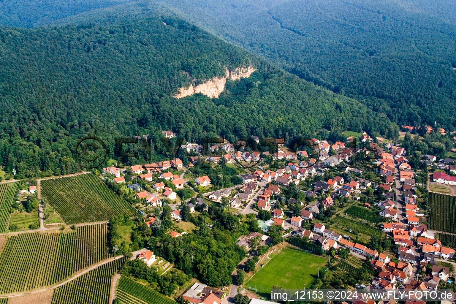 Dorf - Ansicht zwischen Pfälzerwald und Reben in Frankweiler im Bundesland Rheinland-Pfalz, Deutschland