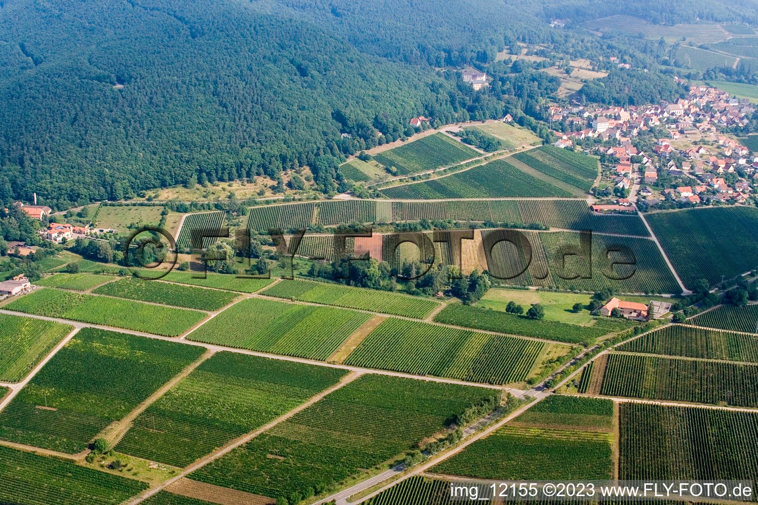 Gleisweiler im Bundesland Rheinland-Pfalz, Deutschland aus der Luft betrachtet