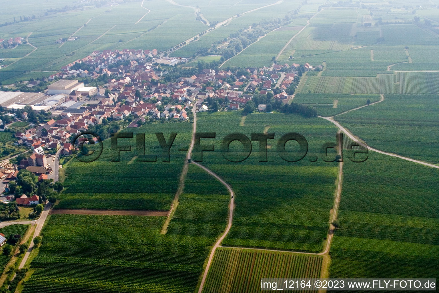 Luftaufnahme von Böchingen im Bundesland Rheinland-Pfalz, Deutschland